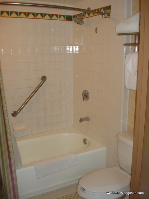 Tub and Toilet